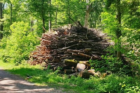 Service de gestion des rebuts